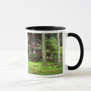 Taza Templo Sanzen-in, Ohara, Kyoto, Japón
