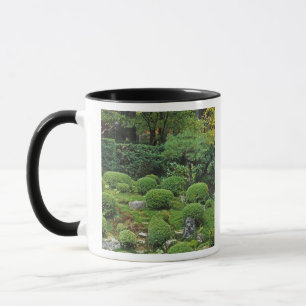 Taza Templo Sanzen-in, Ohara, Kyoto, Japón 3