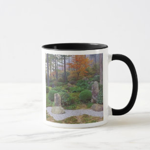 Taza Templo Sanzen-in, Ohara, Kyoto, Japón 4