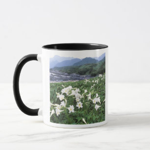 Taza Teppo Yuri (Lirios), Yakushima, Kagoshima, Japón