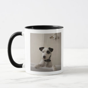 Taza Terrier de Jack Russell