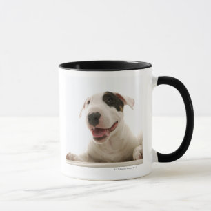 Taza Terrieres de Bull