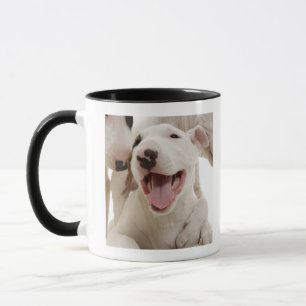 Taza Terrieres de Bull alegres