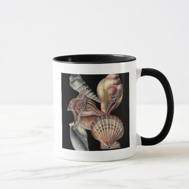 Taza Tesoros del mar (Derecha)