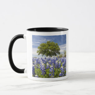 Taza Texas bluebonnets(lupinus texensis) y roble