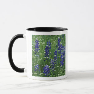 Taza Texas, Lago Buchanan. Texas Bluebonnet y silvestre