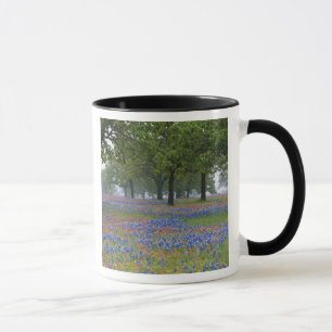 Taza Texas, Texas Hill Country, pincel de Texas y