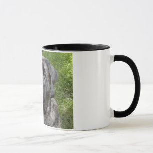 Taza Thor Mastiff Mug