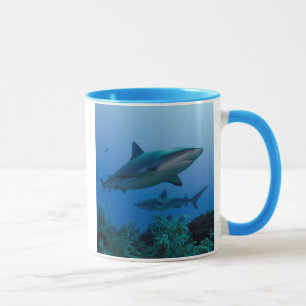Taza Tiburón de Arrecife del Caribe Jardines de la Rein