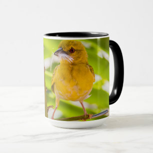 Taza Tiempo de construir el nido