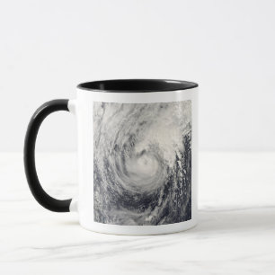 Taza Tifón delfín en el mar de Filipinas