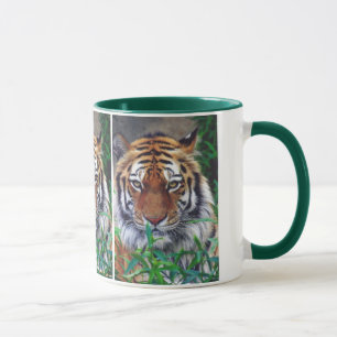 Taza Tiger Stare