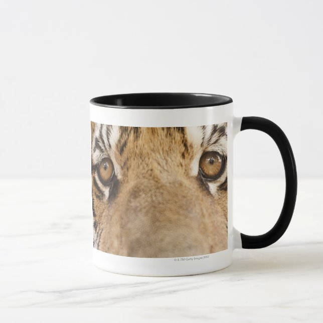 Taza Tigre (Derecha)