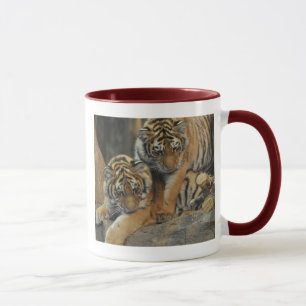 Taza Tigre Cub de Amur
