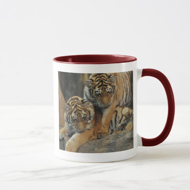 Taza Tigre Cub de Amur (Derecha)