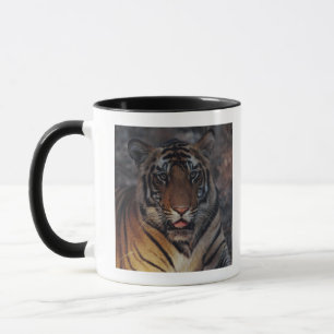 Taza Tigre Cub de Bengala