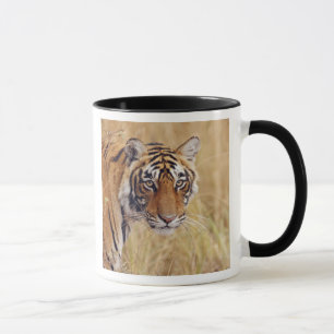 Taza Tigre de Bengala Real