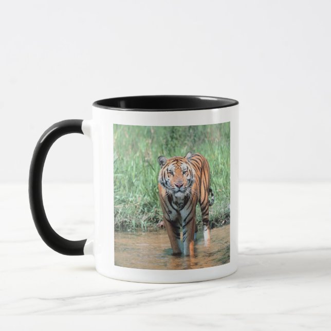 Taza Tigre en agua (Izquierda)