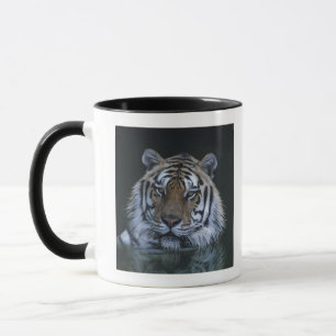 Taza Tigre en agua