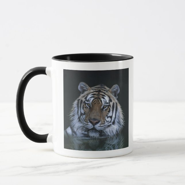 Taza Tigre en agua (Izquierda)