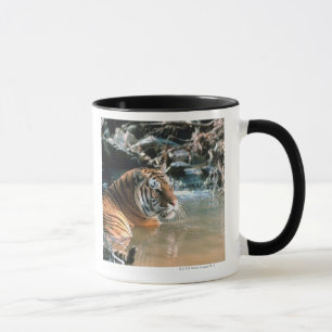 Taza Tigre en agua