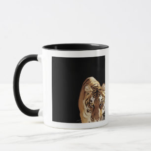 Taza Tigre (Panthera el Tigris)