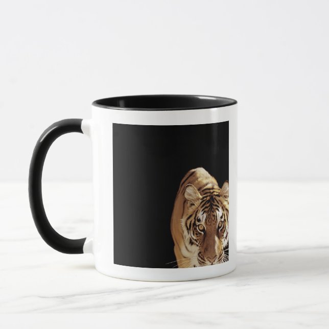 Taza Tigre (Panthera el Tigris) (Izquierda)