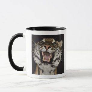Taza Tigre que ruge 2