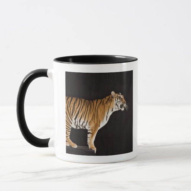 Taza Tigre que se coloca en la plataforma (Izquierda)