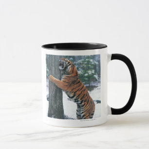 Taza Tigre siberiano (altaica del Tigris del Panthera)