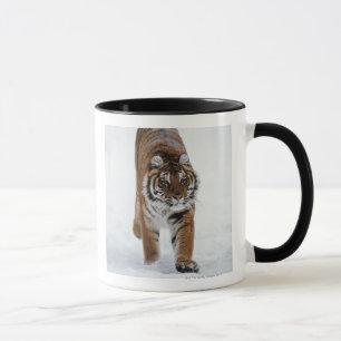 Taza Tigre siberiano en nieve