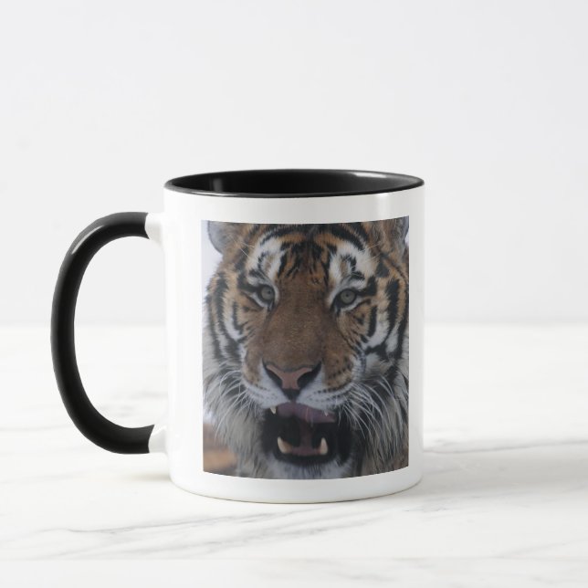 Taza Tigre siberiano que bosteza (Izquierda)