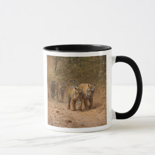 Taza Tigres reales de Bengala en movimiento, Ranthambho
