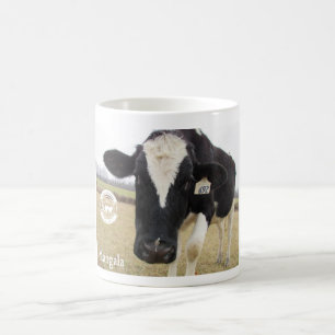 Taza tímida de la vaca