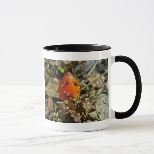 Taza Tiny Amberina Cone Cap Mushroom Mug (Derecha)