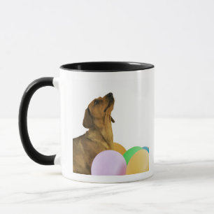 Taza Tiro del estudio