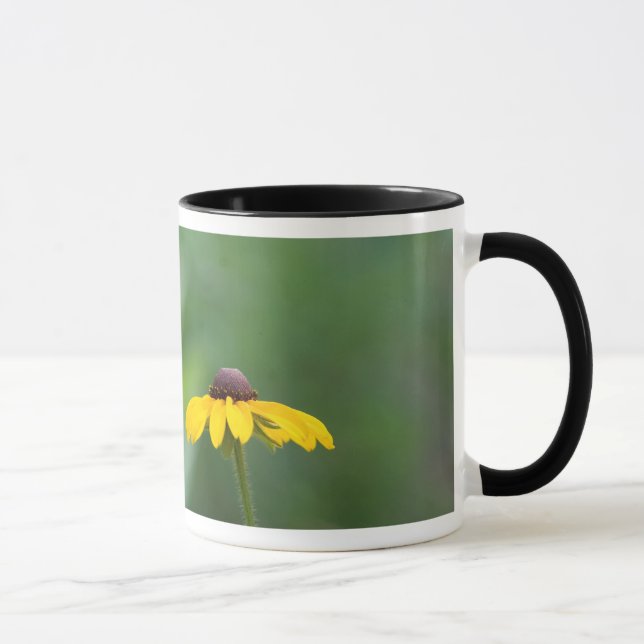 Taza todo claro (Derecha)