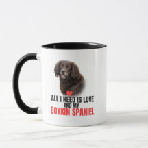 Todo lo que necesito es amor y mi café con Boykin 