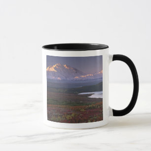 Taza Tomada a principios de septiembre en el Parque Nac