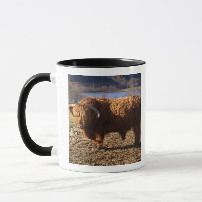 Taza Toro de ganado de las Tierras Altas, Escocia (Izquierda)