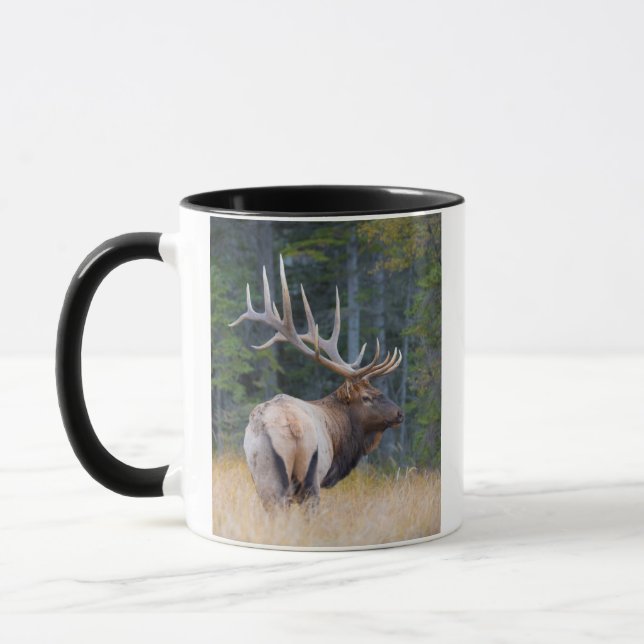 Taza Toro Rocky Mountain Elk (Izquierda)
