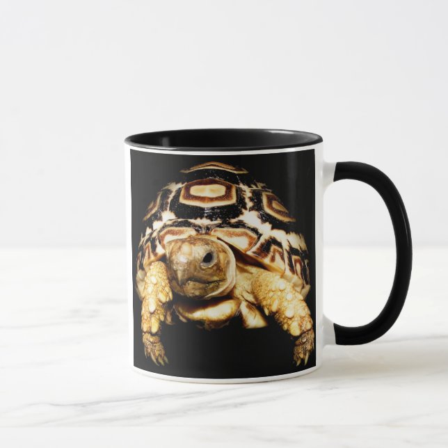 Taza tortuga (Derecha)