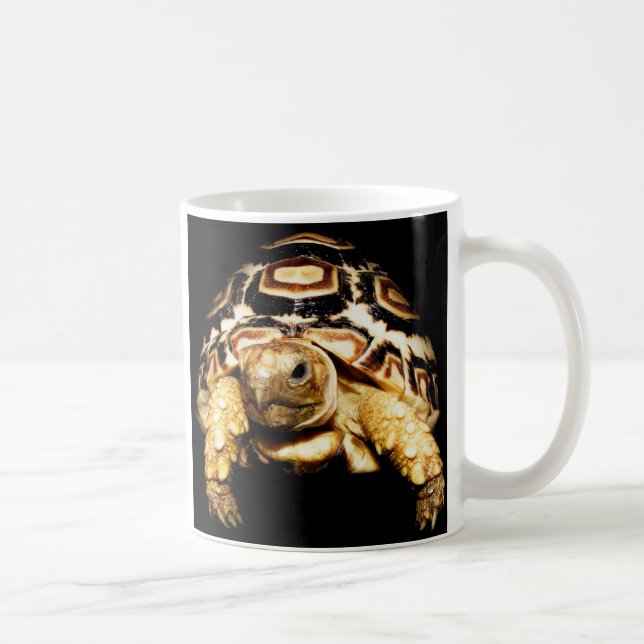 Taza tortuga (Derecha)
