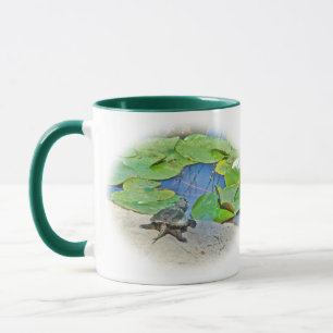 Taza Tortuga común para picar - Chelydra serpentina