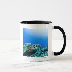 Taza Tortuga de mar que descansa bajo el agua