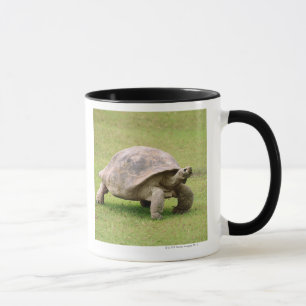Taza Tortuga gigante que camina en hierba