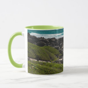 Taza Tortuga grande en el borde del mar