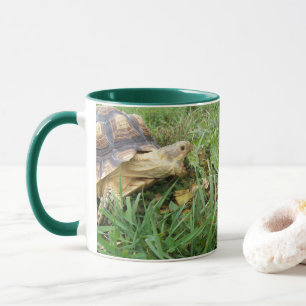 Taza Tortuga Sulcata, boca abierta, barba en el césped