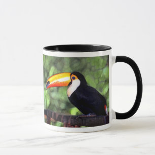 Taza 'Toucan