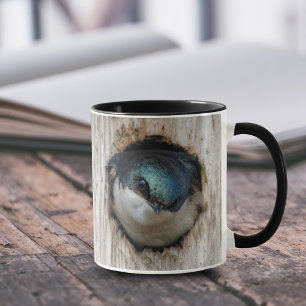 Taza Tragar árbol en una nestbox